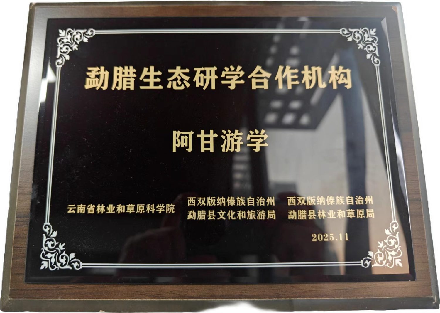 勐腊生态研学合作机构 证书实拍